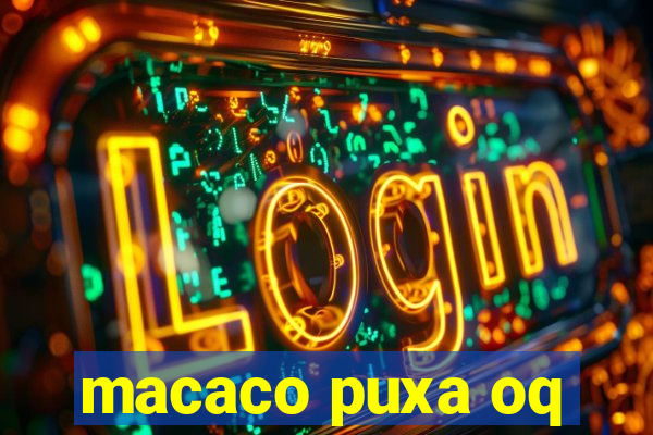 macaco puxa oq